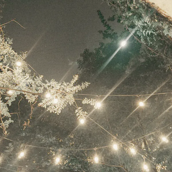 Festoon lights strung through a vine overhead