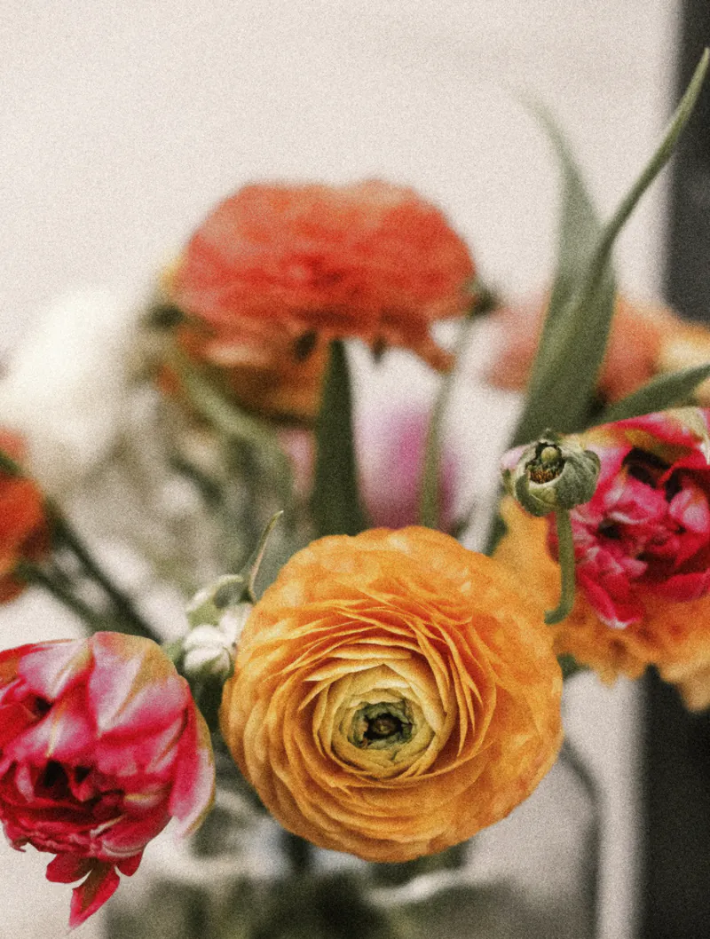 Ranunculus, tulips and leaves crowded into a glass jar